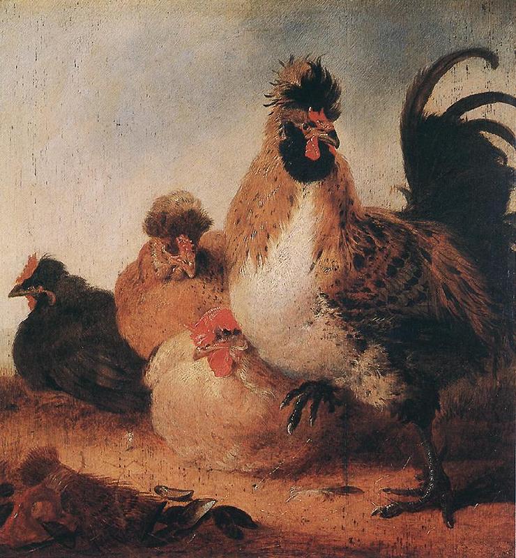 CUYP, Aelbert Rooster and Hens dfg Germany oil painting art